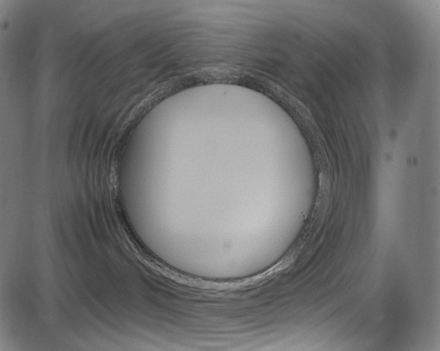 X0000085250048200703090958