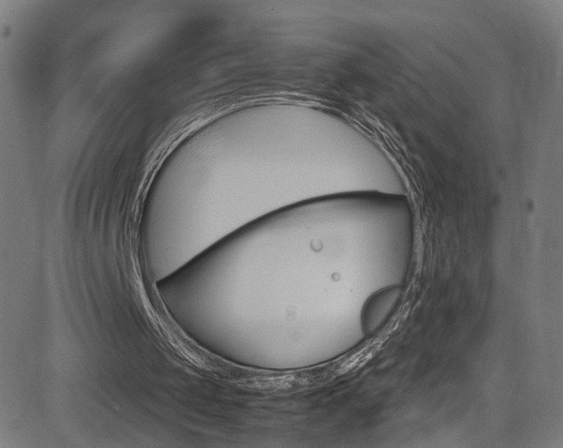 X0000085250049200703090958