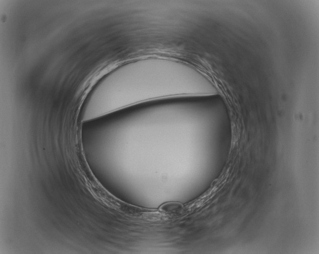 X0000085250050200703090958