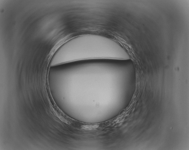 X0000085250051200703090958