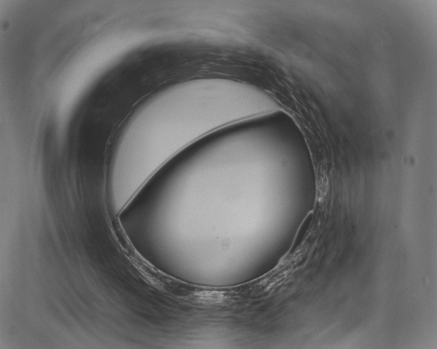 X0000085250052200703090958