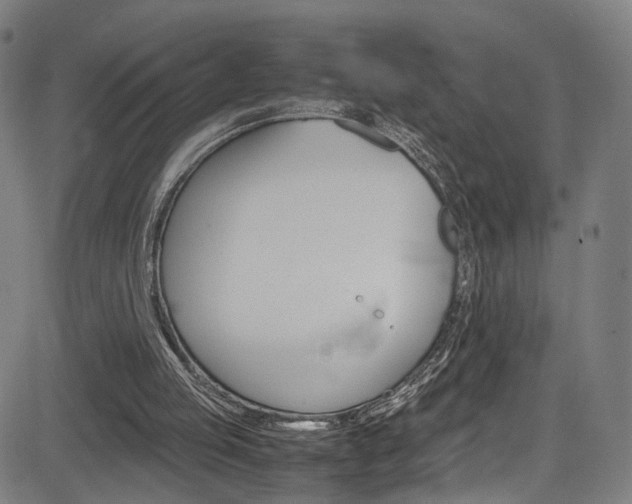 X0000085250053200703090958