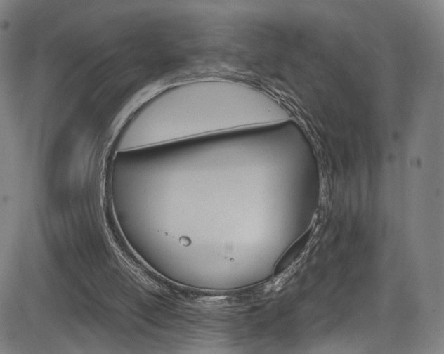 X0000085250054200703090958