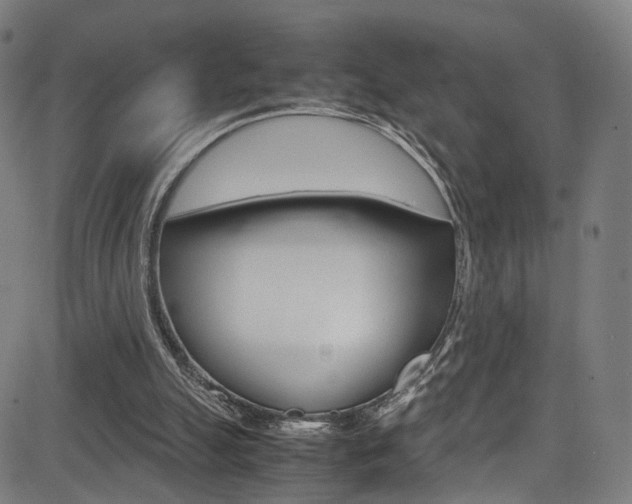 X0000085250055200703090958