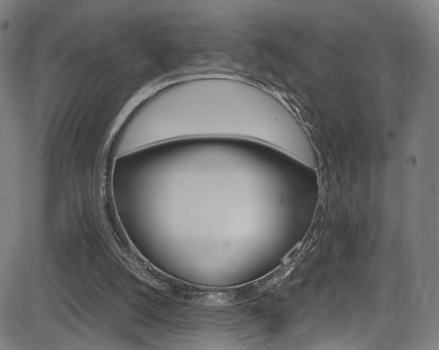 X0000085250056200703090958