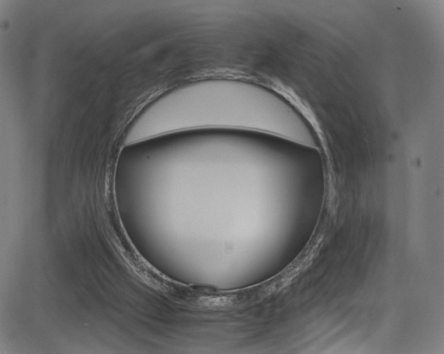 X0000085250057200703090958