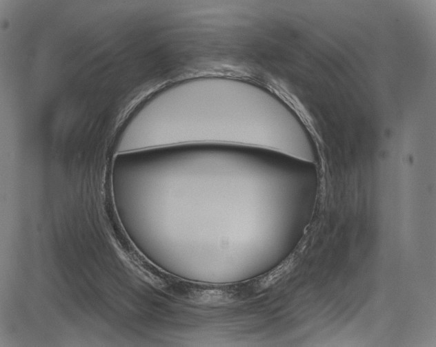 X0000085250058200703090958