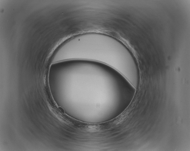 X0000085250060200703090958