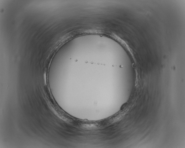 X0000085250061200703090958