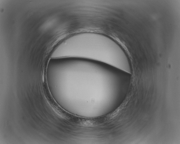 X0000085250062200703090958