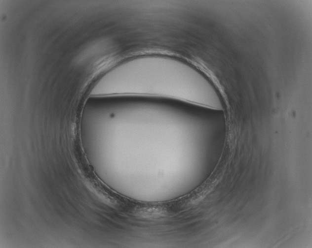 X0000085250063200703090958