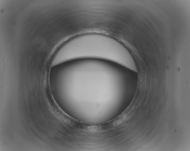 X0000085250064200703090958