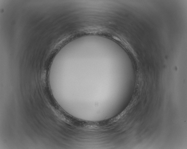 X0000085250066200703090958