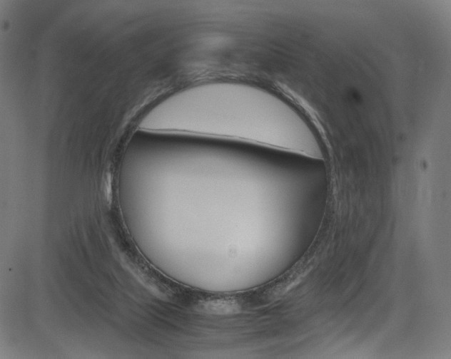 X0000085250067200703090958