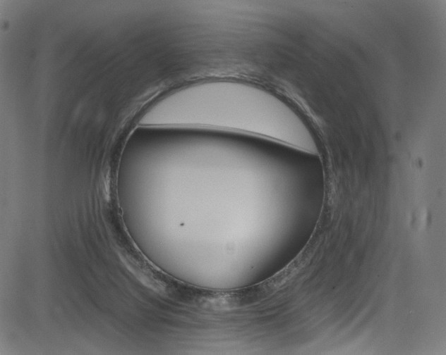 X0000085250068200703090958