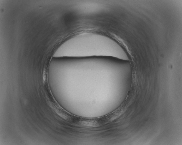 X0000085250069200703090958