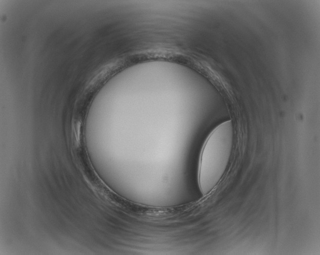 X0000085250070200703090958