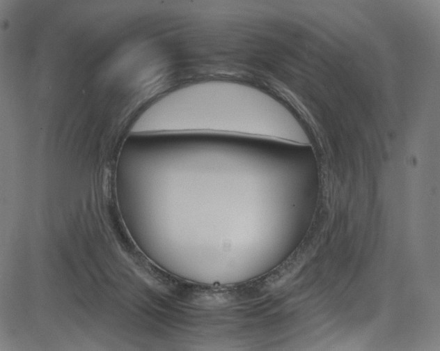 X0000085250071200703090958