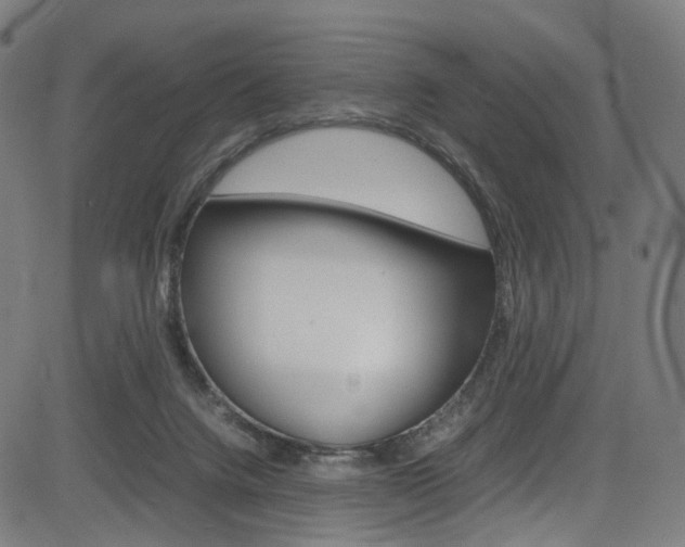 X0000085250072200703090958