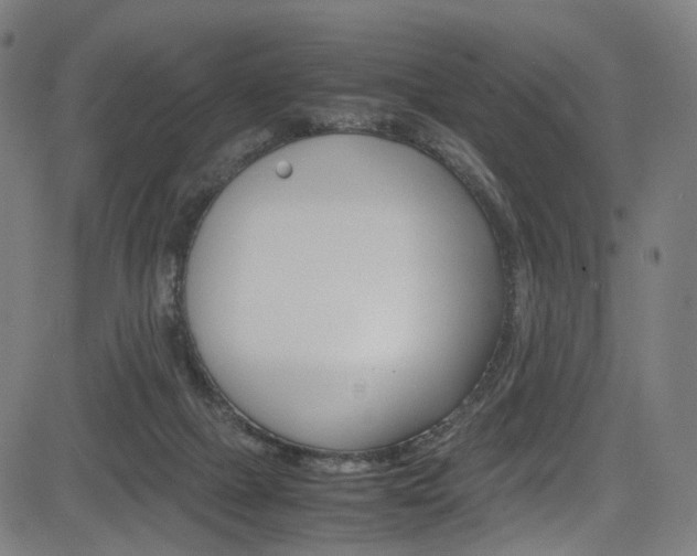 X0000085250073200703090958