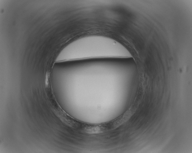 X0000085250075200703090958