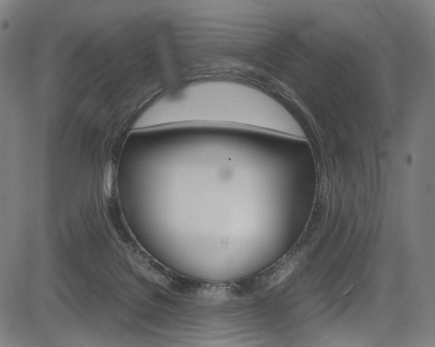 X0000085250076200703090958