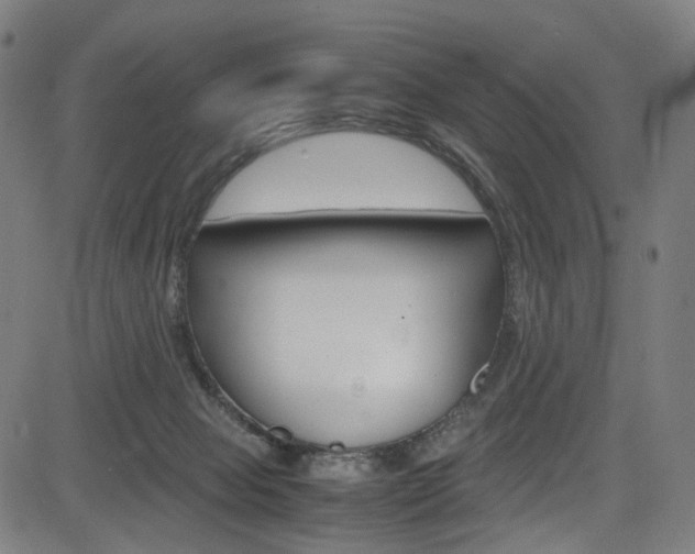 X0000085250077200703090958