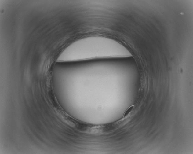 X0000085250078200703090958