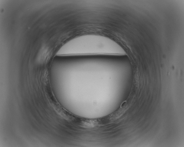 X0000085250079200703090958