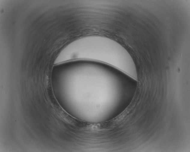 X0000085250080200703090958