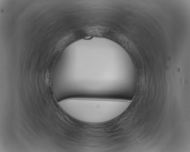 X0000085250081200703090958