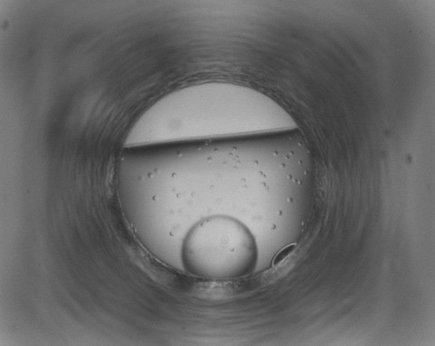 X0000085250082200703090958