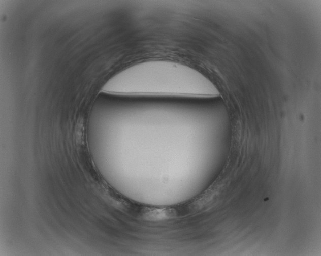 X0000085250083200703090958