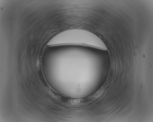 X0000085250084200703090958