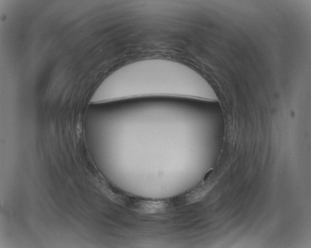 X0000085250085200703090958