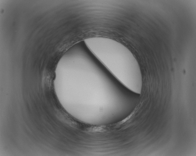 X0000085250086200703090958