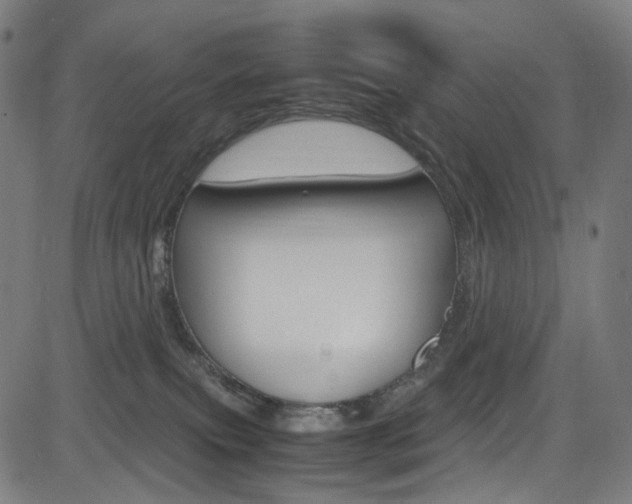 X0000085250087200703090958