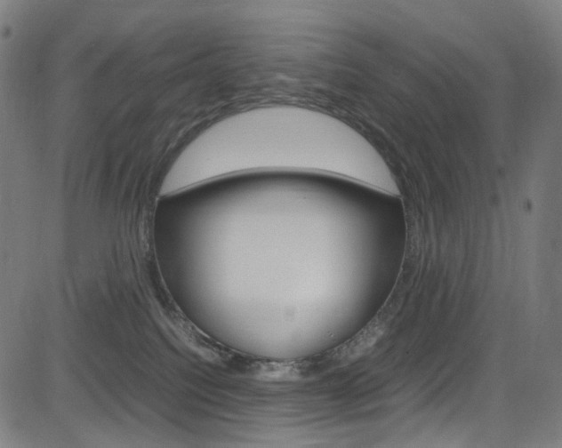 X0000085250088200703090958