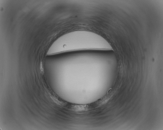 X0000085250089200703090958