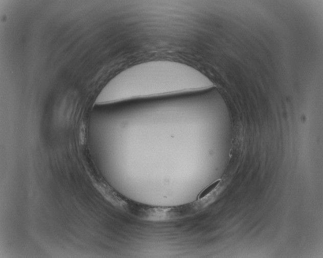 X0000085250090200703090958