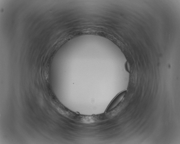 X0000085250091200703090958