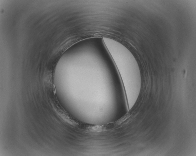 X0000085250092200703090958