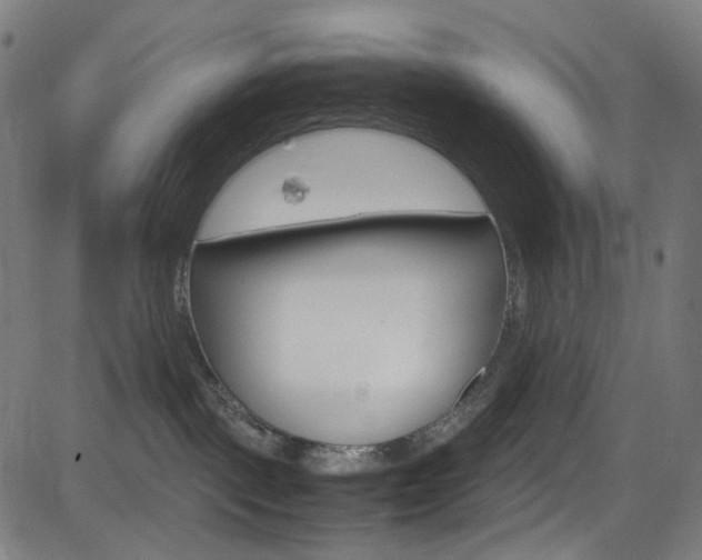 X0000085250093200703090958