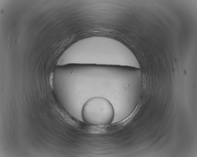 X0000085250094200703090958