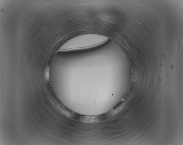 X0000085250095200703090958