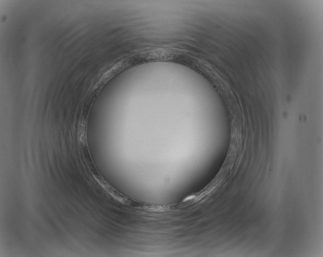 X0000085250096200703090958