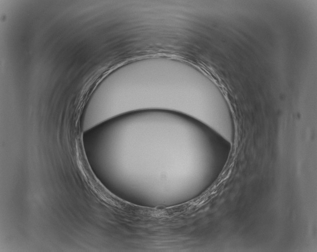 X0000085250097200703090958