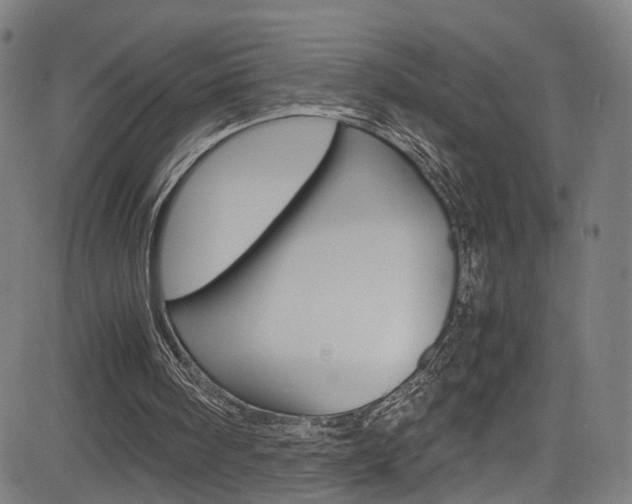 X0000085250098200703090958