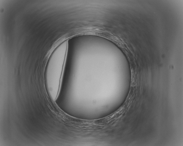 X0000085250099200703090958