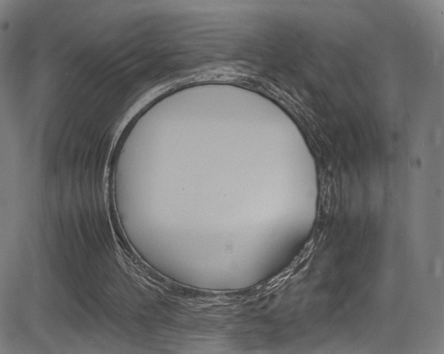 X0000085250100200703090958